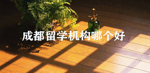成都留学机构哪个好